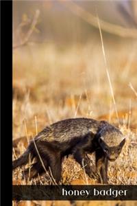 Honey Badger