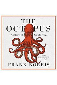 The Octopus