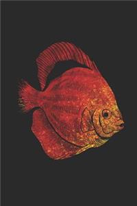 Red Fish