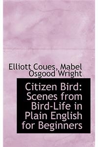 Citizen Bird: Scenes from Bird-Life in Plain English for Beginners