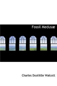 Fossil Medus