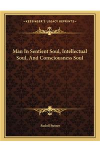 Man in Sentient Soul, Intellectual Soul, and Consciousness Soul