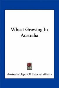 Wheat Growing In Australia