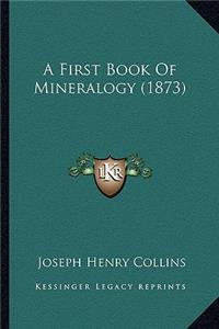First Book of Mineralogy (1873)