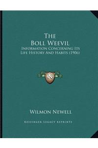 The Boll Weevil