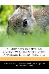 A Guide to Rabbits