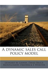 A Dynamic Sales Call Policy Model