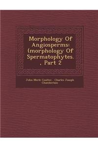 Morphology of Angiosperms