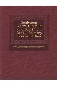 Schlesiens Vorzeit in Bild Und Schrift, II Band