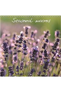 Seasonal Macros 2018
