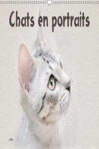Chats en portraits 2019