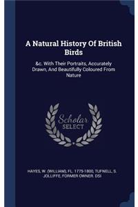 A Natural History Of British Birds