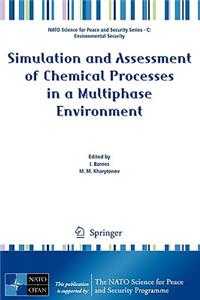 Simulation and Assessment of Chemical Processes in a Multiphase Environment