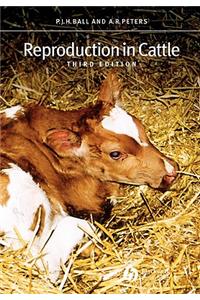 Reproduction in Cattle