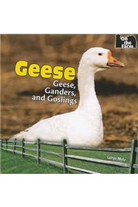 Geese