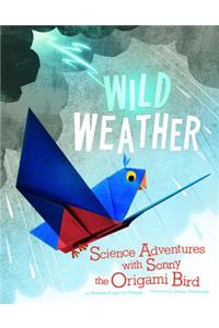 Origami Science Adventures Wild Weather Science Adventures with Sonny the Origami Bird
