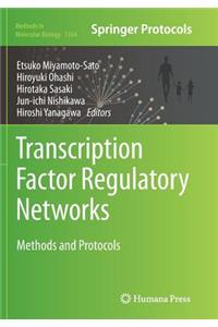 Transcription Factor Regulatory Networks