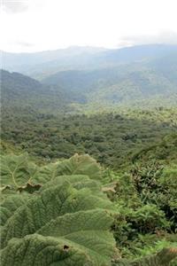 Monteverde Cloud Forest Nature Preserve Costa Rica Journal
