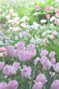 A Field of Pastel Colored Tulips Flower Journal