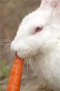 A White Rabbit with an Orange Carrot Journal