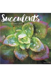 Succulents 2019 Wall Calendar