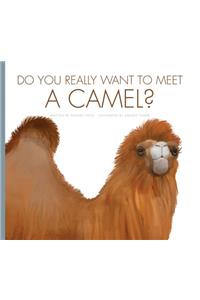 Do You Really Want to Meet a Camel?