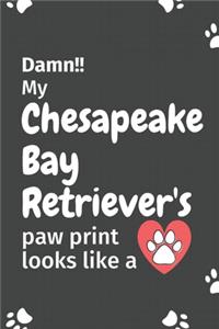 Damn!! my Chesapeake Bay Retriever's paw print looks like a
