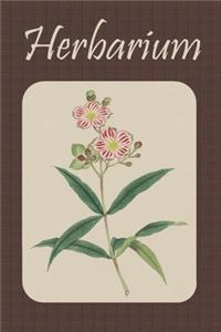 Herbarium