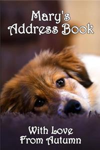 Address Book
