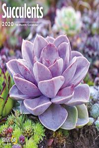 SUCCULENTS WALL CALENDAR 2020