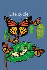 Life Cycle