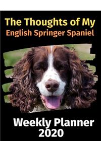 The Thoughts of My English Springer Spaniel