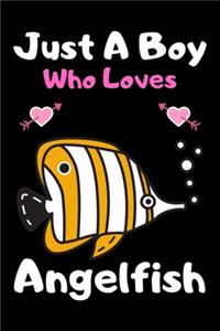 Just a boy who loves angelfish