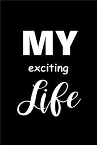 2020 Daily Planner Funny Saying My Exciting Life 388 Pages