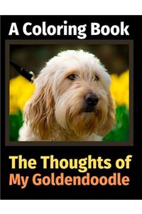 Thoughts of My Goldendoodle