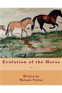 Evolution of the Horse