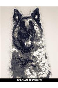 Belgian Tervuren
