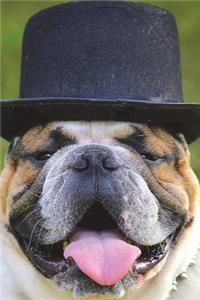 Bulldog in a Top Hat - Ain't He Cute? Journal
