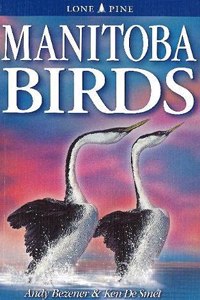 Manitoba Birds