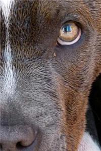 Pitbull Notebook