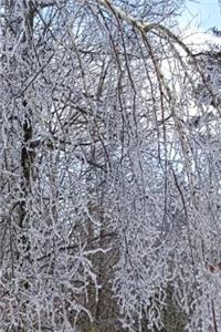Winter Journal Scenic Forest Ice Storm