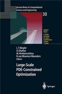 Large-Scale Pde-Constrained Optimization