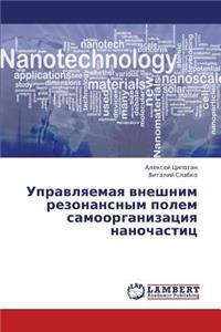 Upravlyaemaya Vneshnim Rezonansnym Polem Samoorganizatsiya Nanochastits