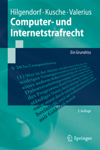 Computer- Und Internetstrafrecht