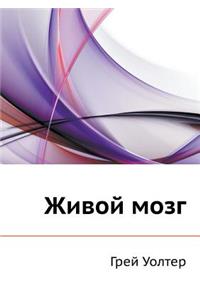 Живой мозг