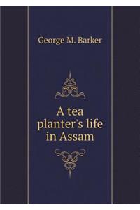 A Tea Planter's Life in Assam