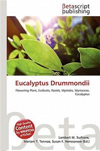 Eucalyptus Drummondii