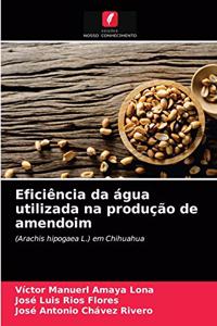 Eficiência da água utilizada na produção de amendoim