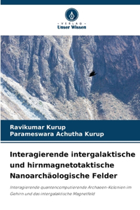 Interagierende intergalaktische und hirnmagnetotaktische Nanoarchäologische Felder