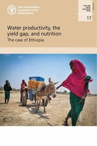 Water productivity, the yield gap, and nutrition